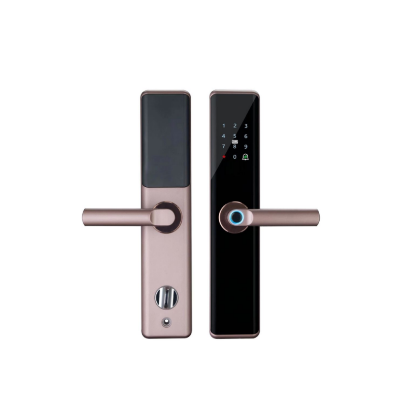 KHÓA CỬA VÂN TAY HUBERT HB CG59 AMBER GOLD - 27 KHÓA CỬA VÂN TAY HUBERT HB CG59 AMBER GOLD