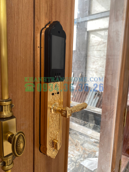 Khóa đại sảnh biệt thự cao cấp DEMAX SL986 GOLD APP WIFI tiêu chuẩn Đức - 18