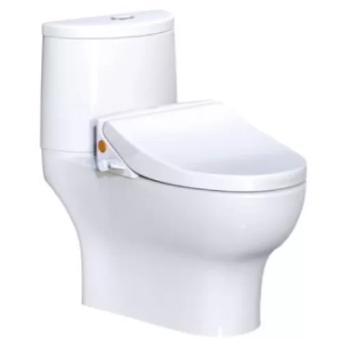 Bồn Cầu CAESAR CD1349/TAF050 2 Khối Nắp Rửa Cơ - 1