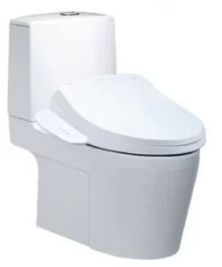 Bồn Cầu CAESAR CD1345/TAF400H 2 Khối Nắp Điện Tử - 5