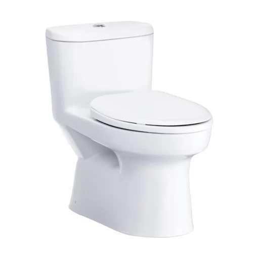 Bồn Cầu COTTO C1015 1 Khối Nắp Êm - 1