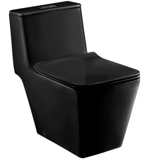 Bồn Cầu COTTO C1032 MBK 1 Khối Nắp Êm Màu Đen - 1