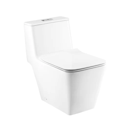 Bồn Cầu COTTO C10327 1 Khối Nắp Êm - 3
