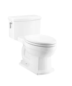 Bồn Cầu COTTO C10617 1 Khối Nắp Êm Xả Gạt - 5