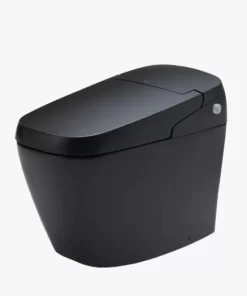 Bồn Cầu Điện Tử INAX AC-G216VN/BKG Đen - 7