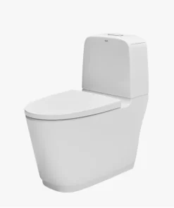 Bồn Cầu INAX AC-832VN 2 Khối Nắp Êm