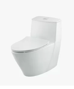 Bồn Cầu INAX AC-919VRN 1 Khối - 13