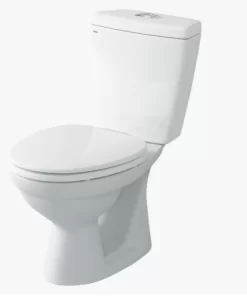 Bồn Cầu INAX C-108VAN 2 Khối Nắp Êm