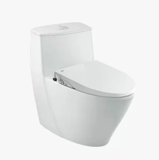Bồn Cầu INAX AC-919R/CW-S15VN 1 Khối Nắp Rửa Cơ - 3
