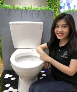 Bồn Cầu TOTO CS300DT3Y1#W 2 Khối Nắp Đóng Êm TC385VS - 19