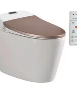 Bồn Cầu Thông Minh VIGLACERA V94.GW