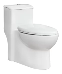 Bồn Cầu THIÊN THANH TITAN CK68 1 Khối - 5