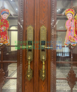 Khóa đại sảnh biệt thự DEMAX SL988 GB APP WIFI tiêu chuẩn Đức - 23