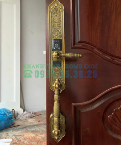 Khóa đại sảnh biệt thự DEMAX SL988 GB APP WIFI tiêu chuẩn Đức - 19