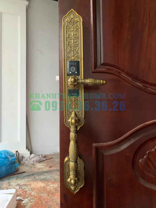 Khóa đại sảnh biệt thự DEMAX SL988 GB APP WIFI tiêu chuẩn Đức - 6