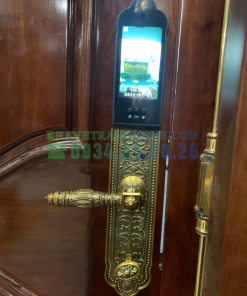 Khóa đại sảnh biệt thự DEMAX SL988 GB APP WIFI tiêu chuẩn Đức - 17