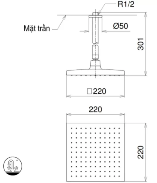 Bát Sen Gắn Trần TOTO DB144-1CR Vuông 220mm - 7