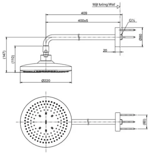 Bát Sen Gắn Tường TOTO TBW01003A Tròn 220mm - 5