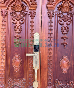 Khóa đại sảnh DEMAX SL821 GOLD tiêu chuẩn Đức - 47