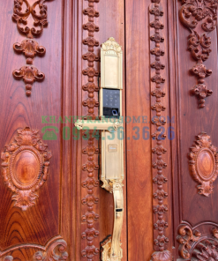 Khóa đại sảnh DEMAX SL821 GOLD tiêu chuẩn Đức - 49