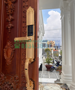 Khóa đại sảnh DEMAX SL821 GOLD tiêu chuẩn Đức - 41