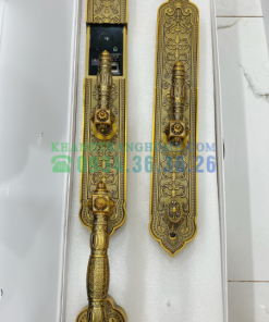 KHÓA ĐẠI SẢNH BIỆT THỰ DEMAX SL888 GB APP WIFI tiêu chuẩn Đức - 11