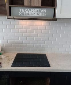 Máy Hút Mùi Âm tủ Teka TL 7420 40474110 - 64 Máy Hút Mùi Âm tủ Teka TL 7420 40474110 - 63