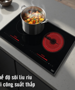 BẾP ĐIỆN TỪ LORCA TA-1006EC PLUS