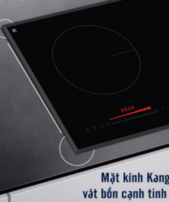 BẾP ĐIỆN TỪ LORCA TA-1006EC PLUS