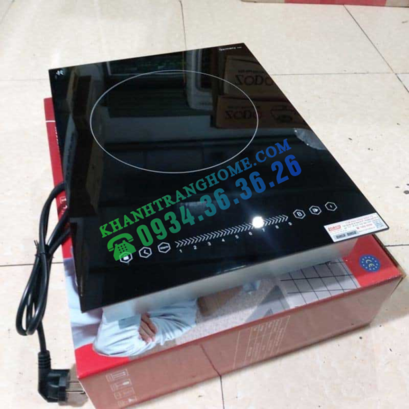 BẾP TỪ ĐƠN LORCA TA-1018 PLUS