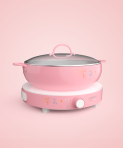 BẾP TỪ ĐƠN HAWONKOO CEH-101-I-PK