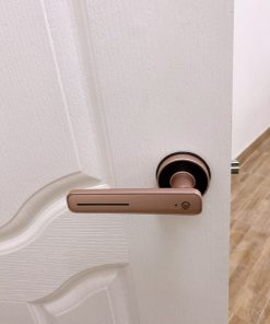 KHOÁ VÂN TAY DEMAX SL105