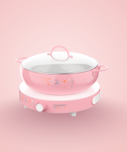 BẾP TỪ ĐƠN HAWONKOO CEH-101-I-PK