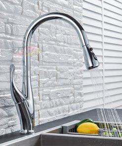 Vòi rửa bát PRAMIE-PRV 068 - 6 Vòi rửa bát PRAMIE-PRV 068