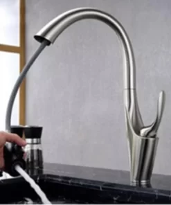 Vòi rửa chén PRAMIE-PRV 079