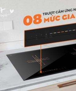 BẾP TỪ ĐÔI HAWONKOO CEH-230-II