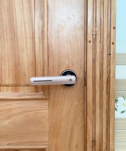 KHOÁ VÂN TAY DEMAX SL105