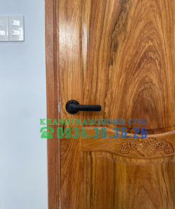 Khóa vân tay DEMAX SL109 BL tiêu chuẩn Đức - 25