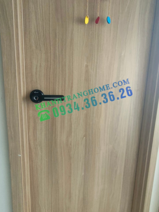 Khóa vân tay DEMAX SL108 BL tiêu chuẩn Đức - 13