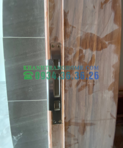 Khóa nhận diện khuôn mặt DEMAX SL918 MG tiêu chuẩn Đức - 26