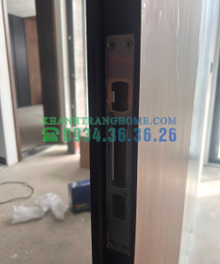 Khóa thông minh DEMAX SL818 MG tiêu chuẩn Đức - 30