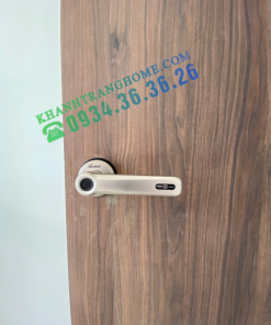 Khóa vân tay DEMAX SL109 SV tiêu chuẩn Đức - 30