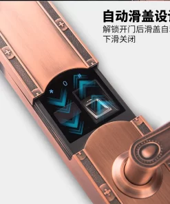 KHÓA VÂN TAY HUBERT HB DS77 COPPER - 13