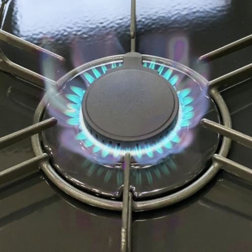 BẾP GAS RINNAI RJ-69EG - 5