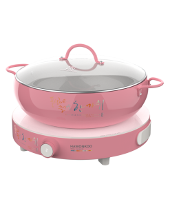 BẾP TỪ ĐƠN HAWONKOO CEH-101-I-PK