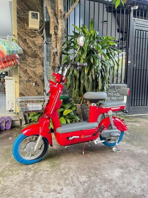 XE ĐẠP ĐIỆN MÀU ĐỎ - 1