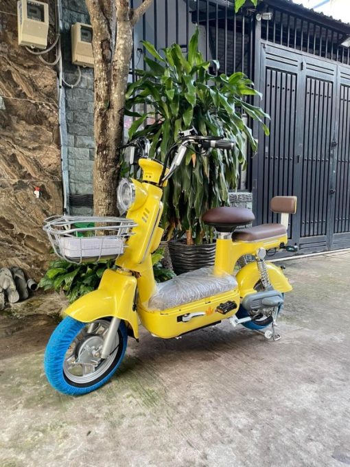 XE ĐẠP ĐIỆN MÀU VÀNG - 1