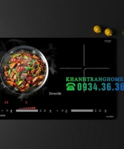 BẾP TỪ DMESTIK ML206 DKI