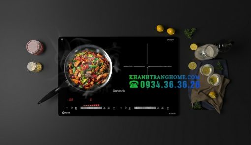 BẾP TỪ DMESTIK ML206 DKI