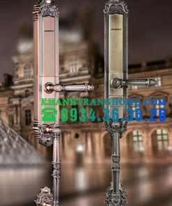 KHÓA CỬA VÂN TAY KAADAS 6001